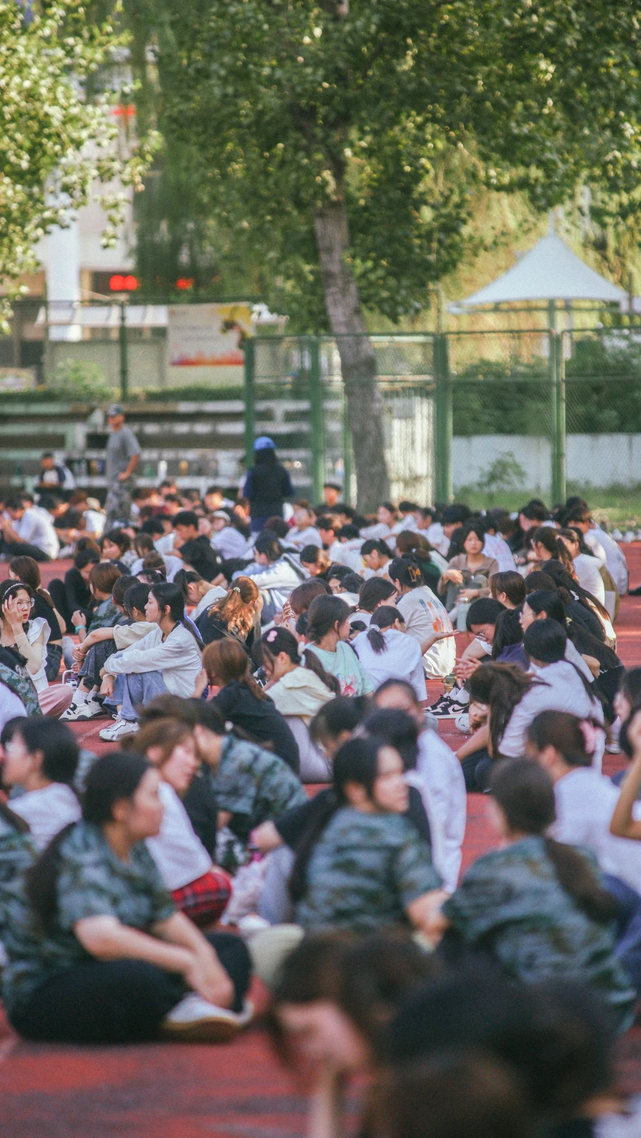 英国上市公司365