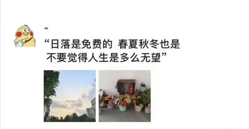 英国上市公司365