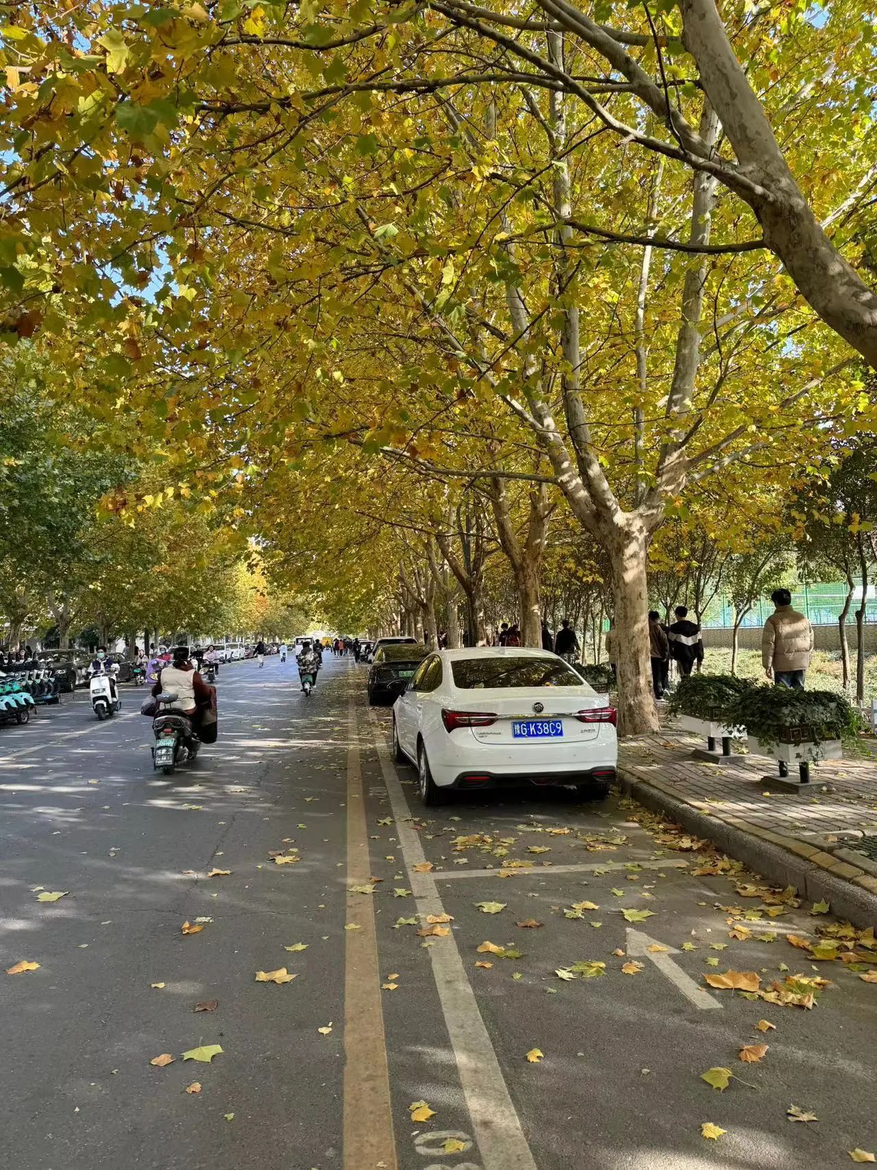 英国上市公司365